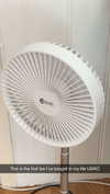 ratskelet0n Altpins Profile Picture