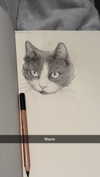 ratskelet0n Altpins Profile Picture