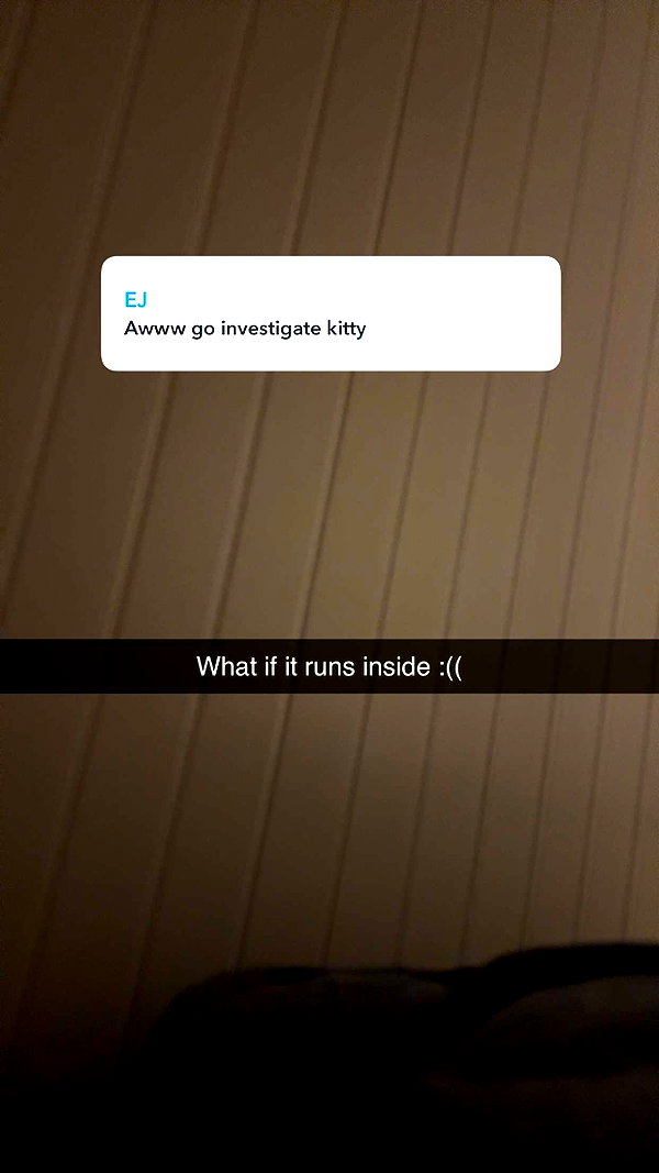 ratskelet0n snapchat image archive image
