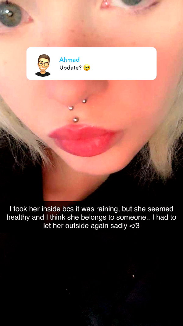ratskelet0n snapchat image archive image