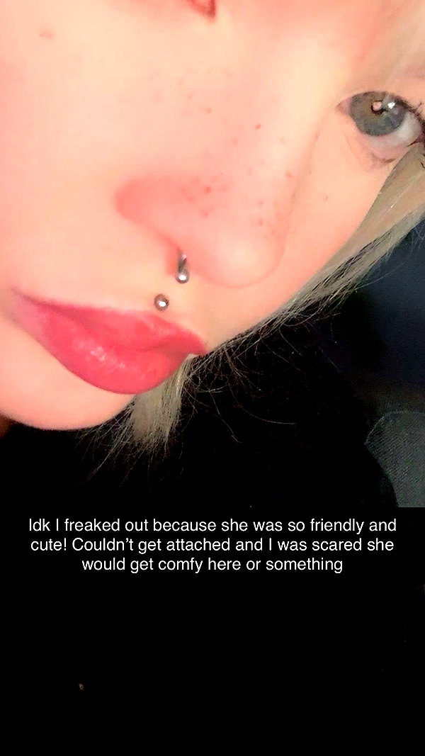 ratskelet0n snapchat image archive image