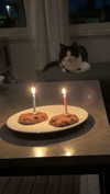 ratskelet0n Altpins Profile Picture