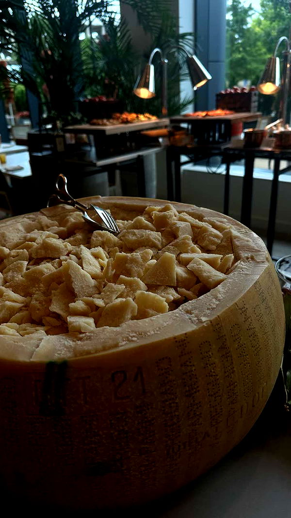 realhaylujan image ~ Altpins