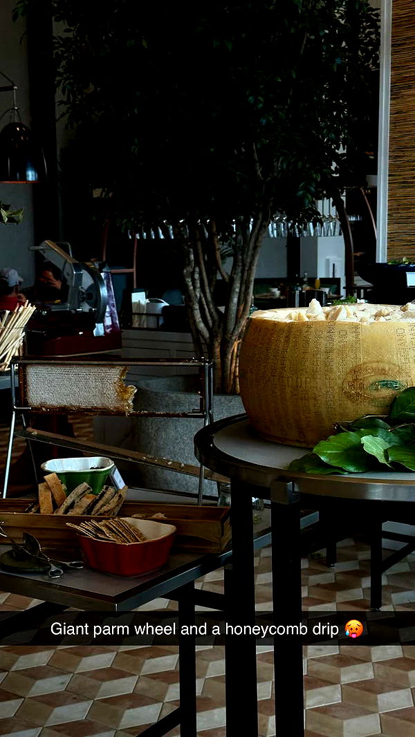 realhaylujan image ~ Altpins