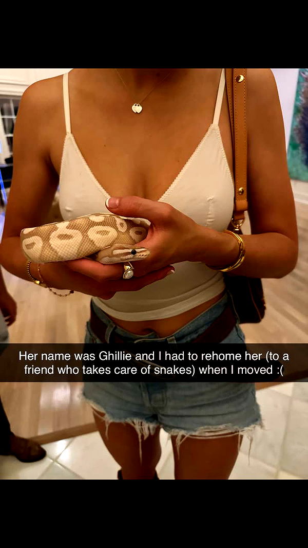 realhaylujan image ~ Altpins