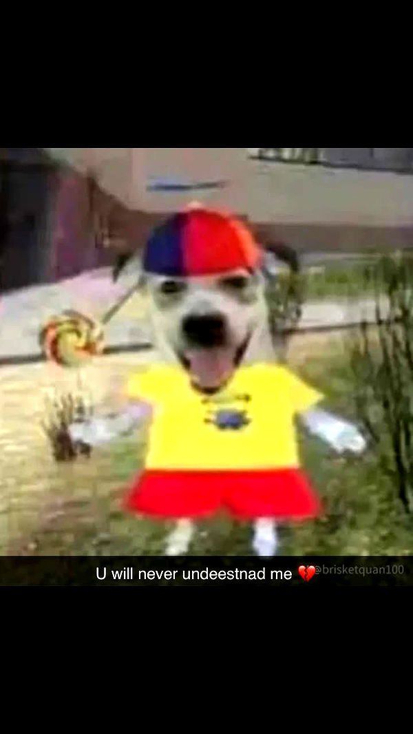 realhaylujan image ~ Altpins