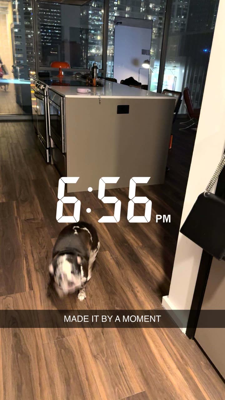 realhaylujan snapchat image archive image