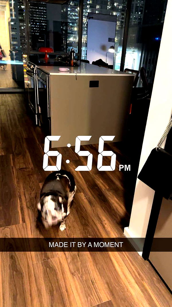 realhaylujan image ~ Altpins