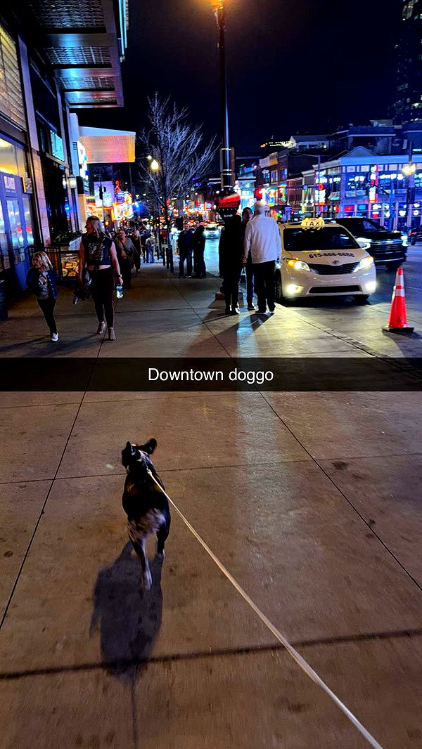 realhaylujan image ~ Altpins