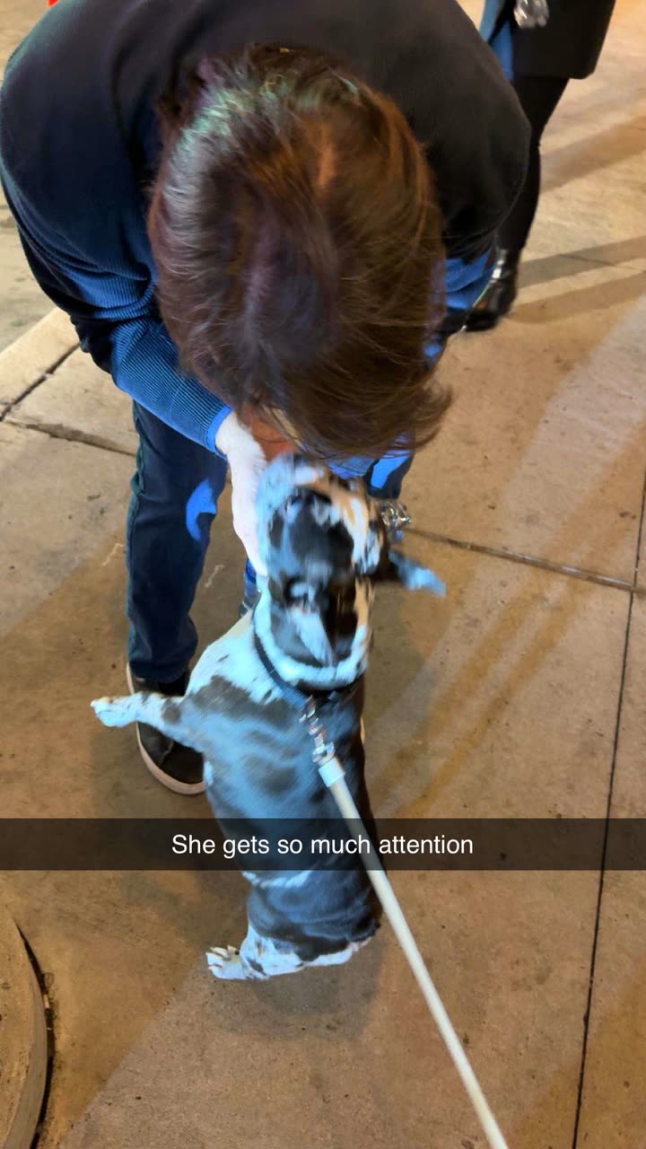 realhaylujan snapchat image archive image