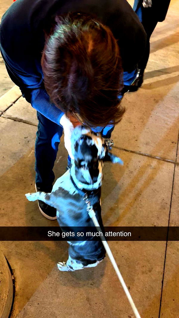 realhaylujan image ~ Altpins