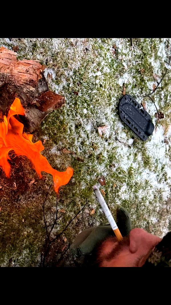 realhaylujan image ~ Altpins