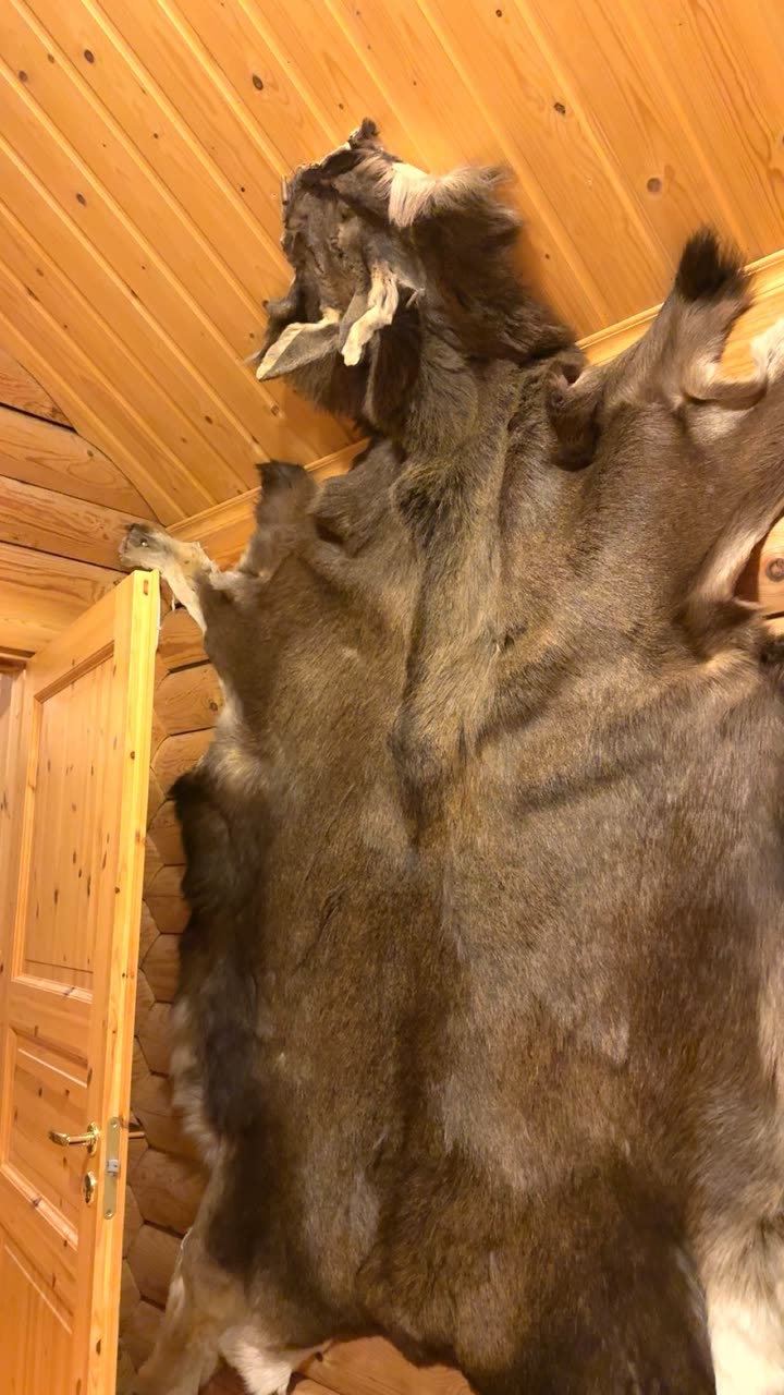 realhaylujan snapchat image archive image