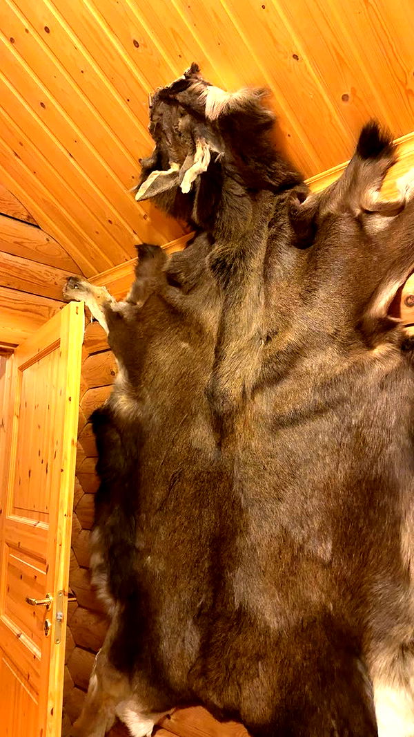 realhaylujan image ~ Altpins