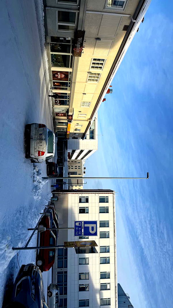 realhaylujan image ~ Altpins