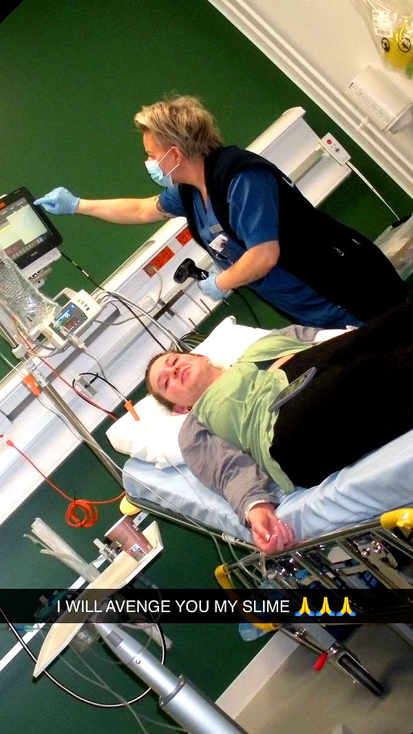 realhaylujan image ~ Altpins