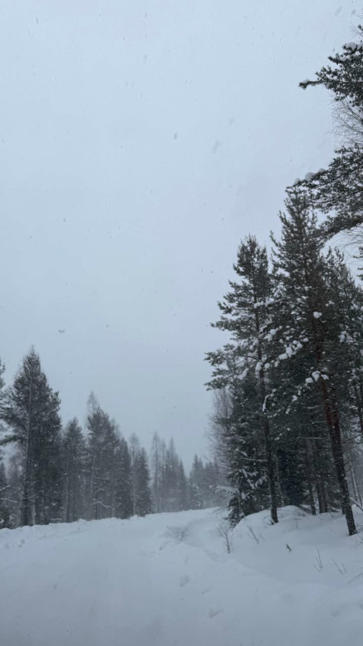 realhaylujan snapchat image archive image