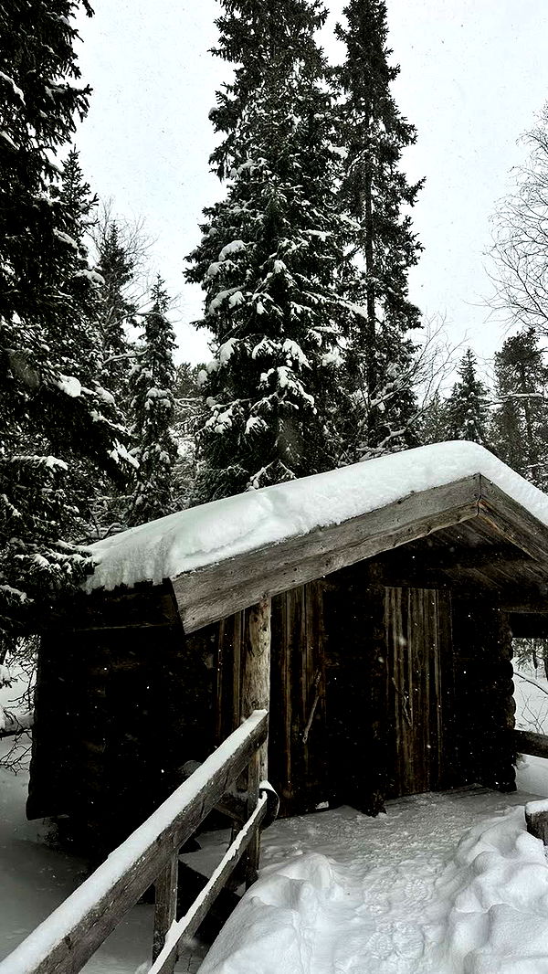 realhaylujan image ~ Altpins