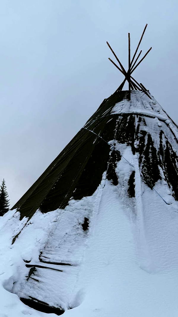 realhaylujan image ~ Altpins