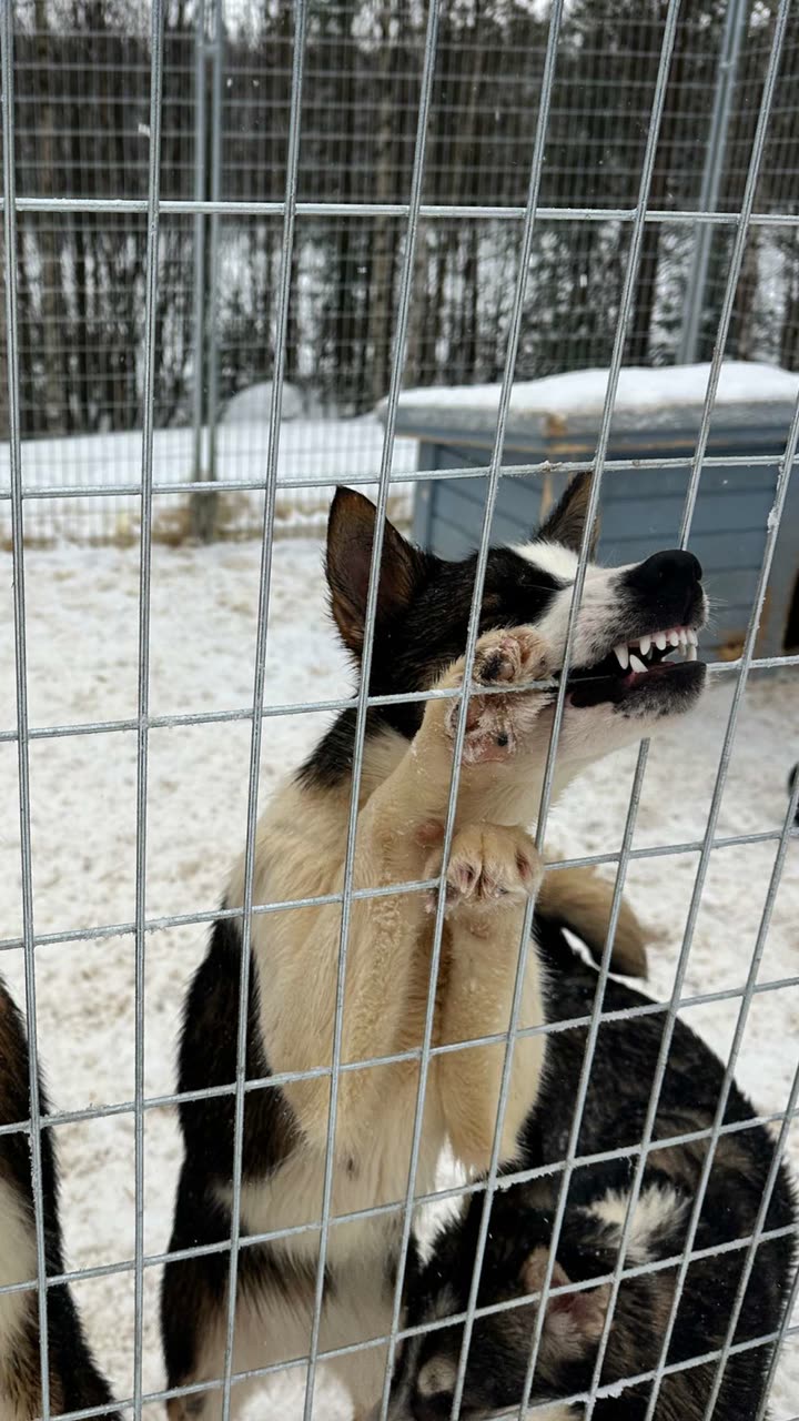 realhaylujan snapchat image archive image