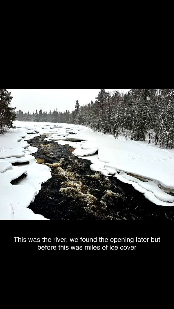 realhaylujan image ~ Altpins