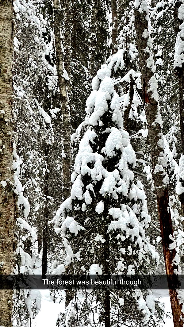 realhaylujan image ~ Altpins