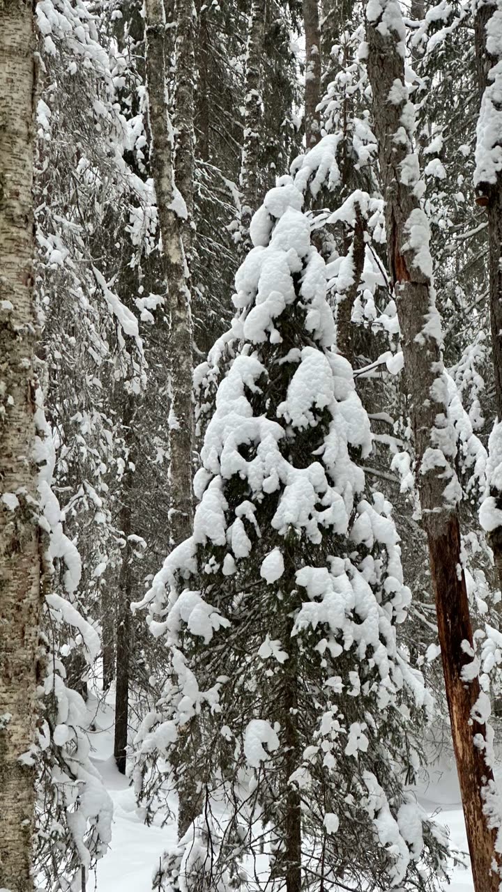 realhaylujan snapchat image archive image