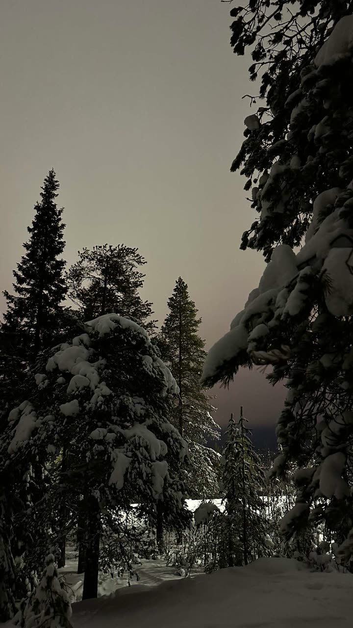 realhaylujan snapchat image archive image