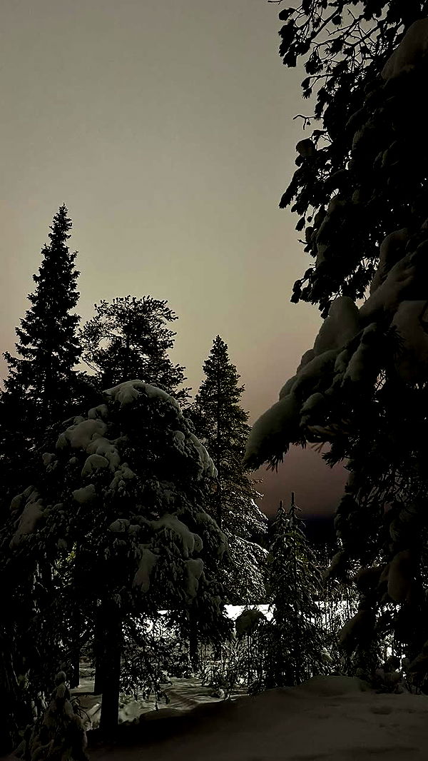 realhaylujan image ~ Altpins