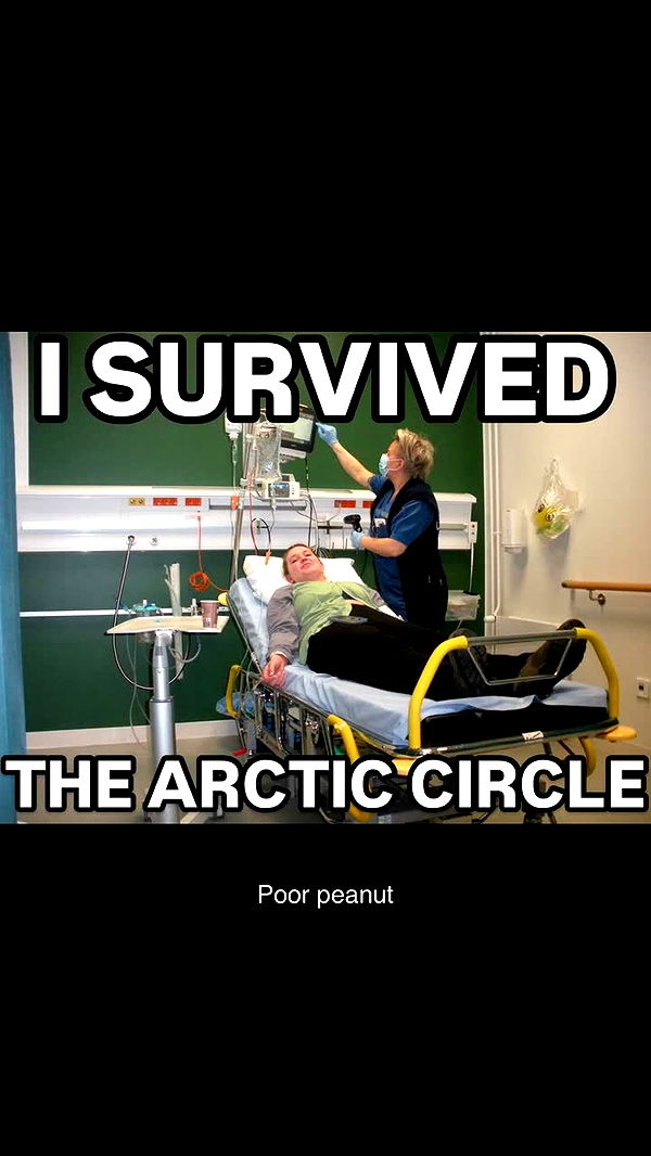 realhaylujan image ~ Altpins