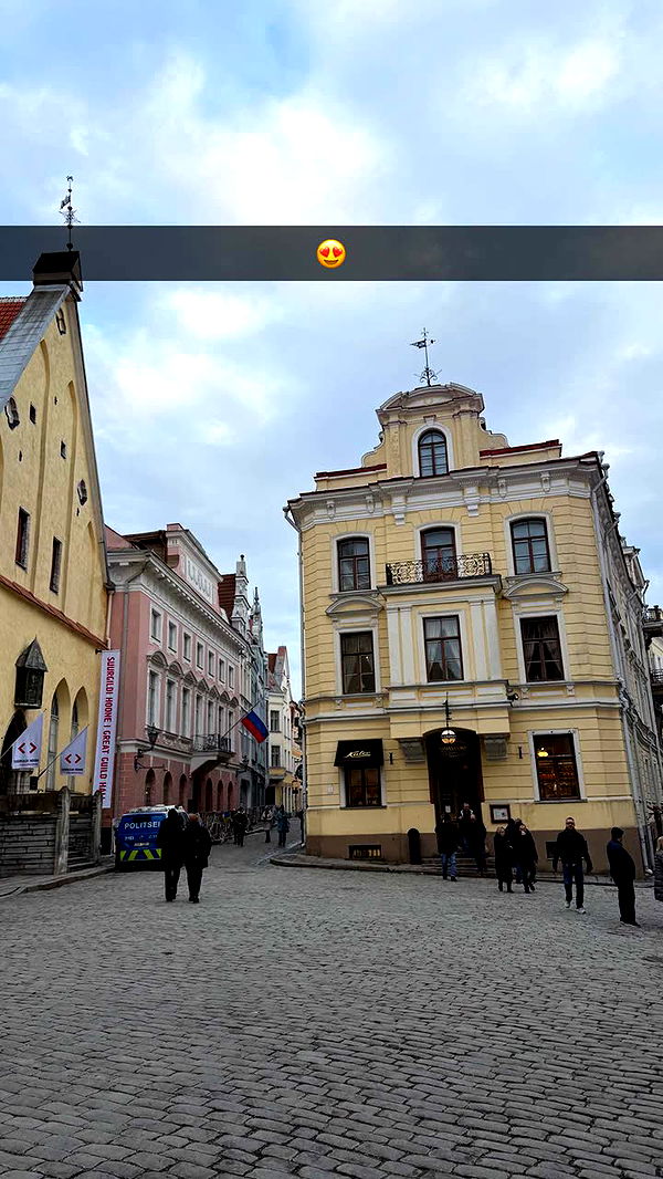 realhaylujan image ~ Altpins