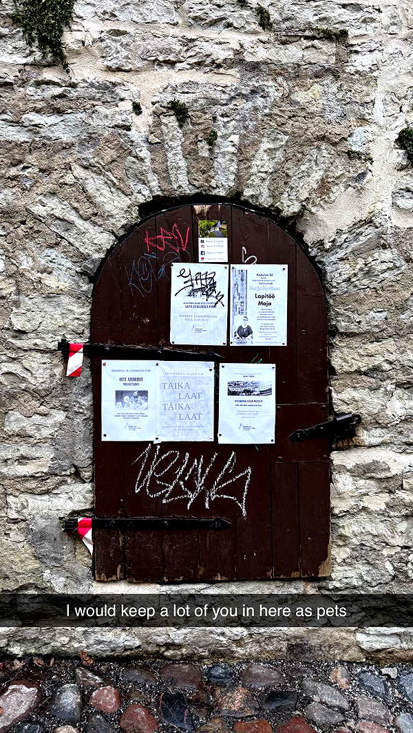 realhaylujan image ~ Altpins