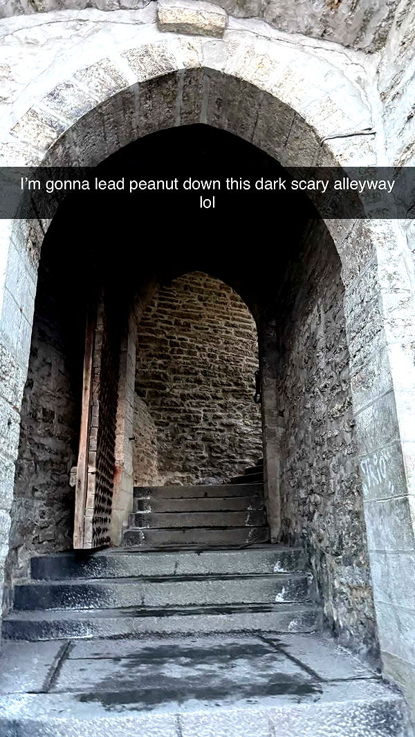 realhaylujan image ~ Altpins