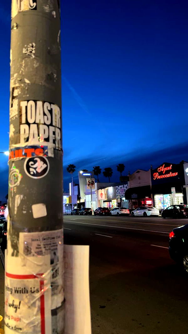 realhaylujan image ~ Altpins