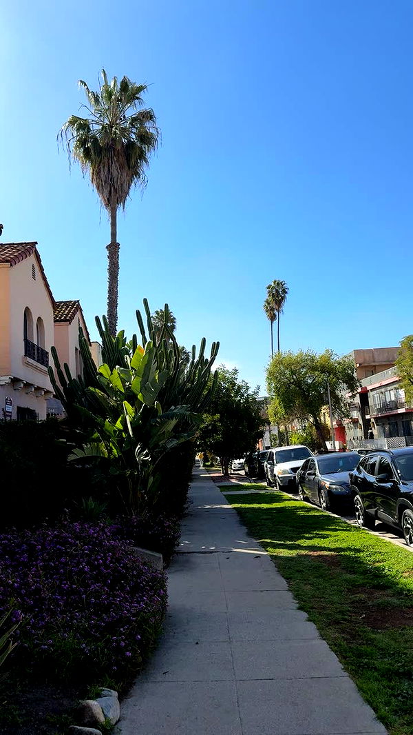 realhaylujan image ~ Altpins