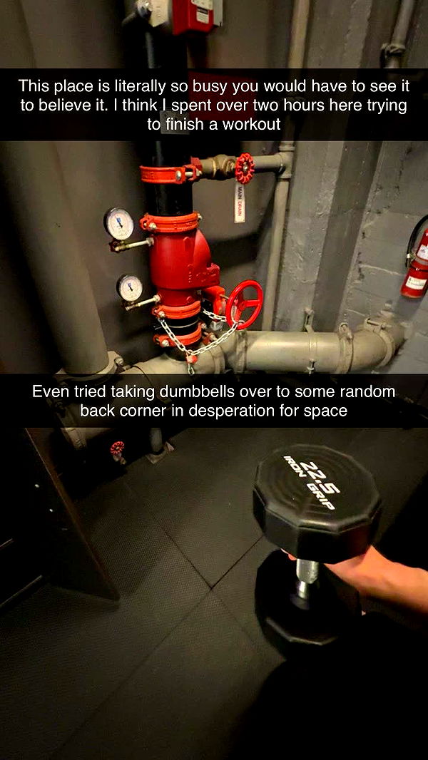 realhaylujan image ~ Altpins