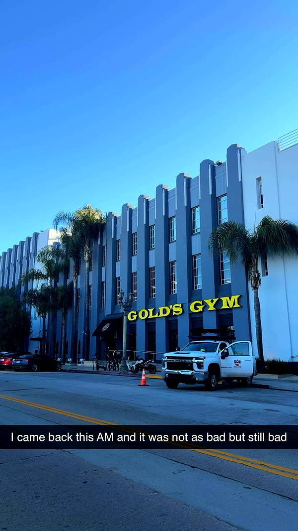 realhaylujan image ~ Altpins