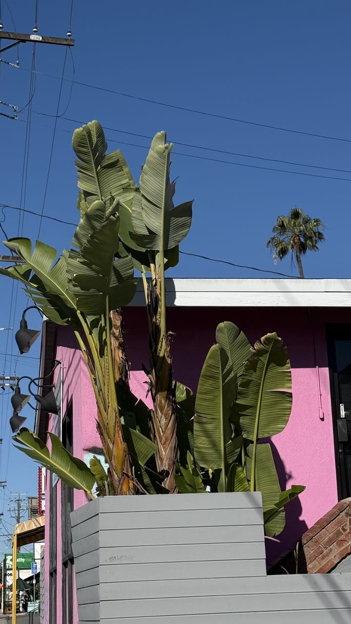 realhaylujan snapchat image archive image