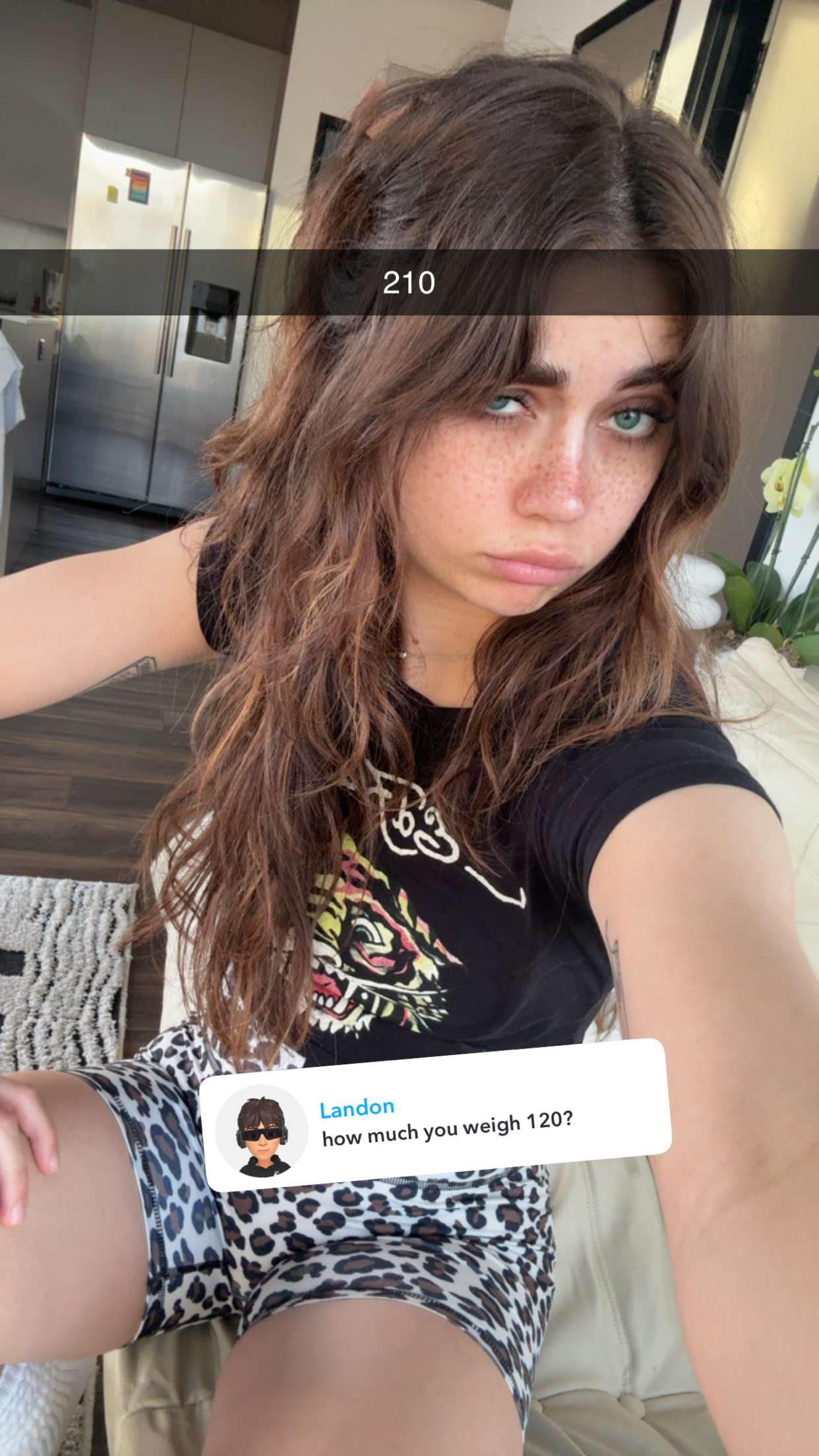 realhaylujan snapchat image archive image