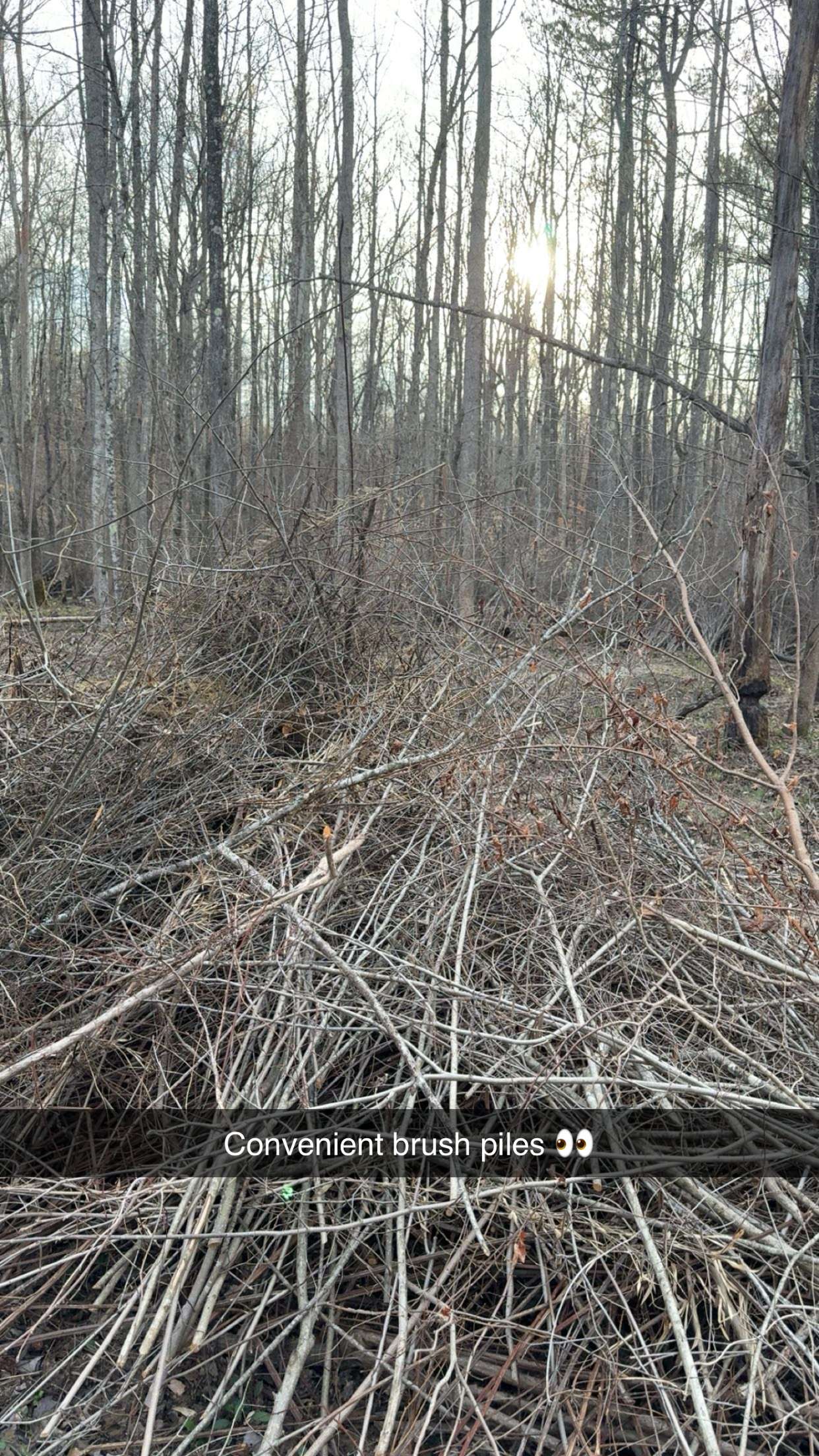 realhaylujan snapchat image archive image