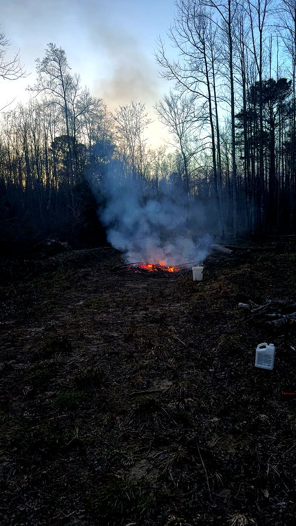 realhaylujan image ~ Altpins