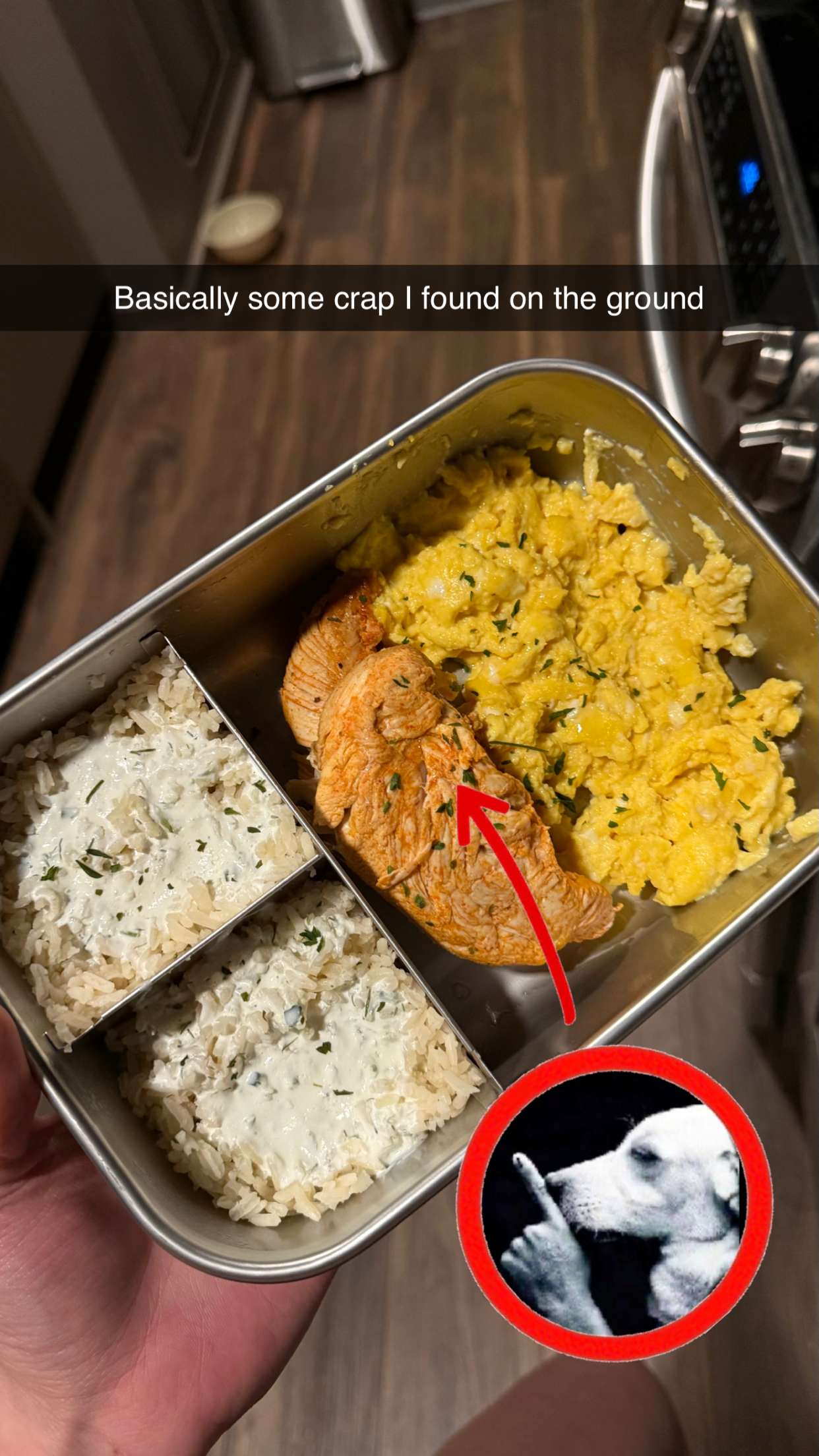 realhaylujan snapchat image archive image