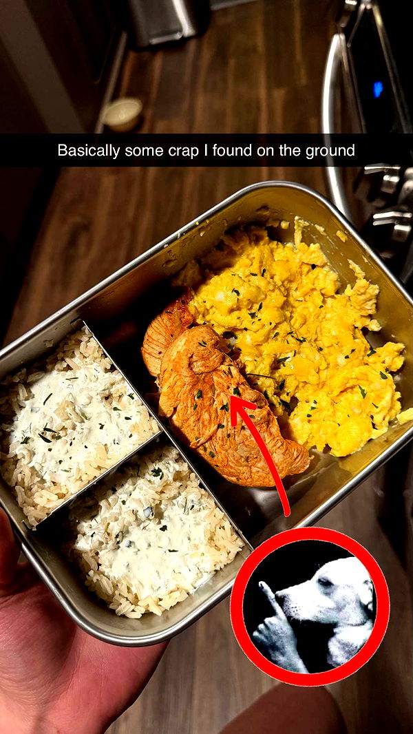 realhaylujan image ~ Altpins