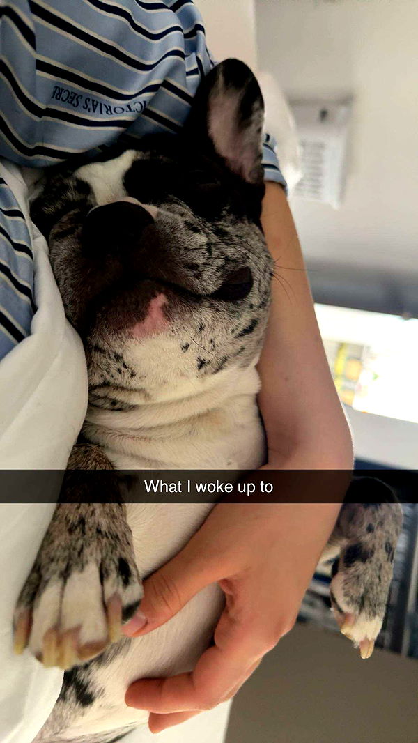 realhaylujan image ~ Altpins