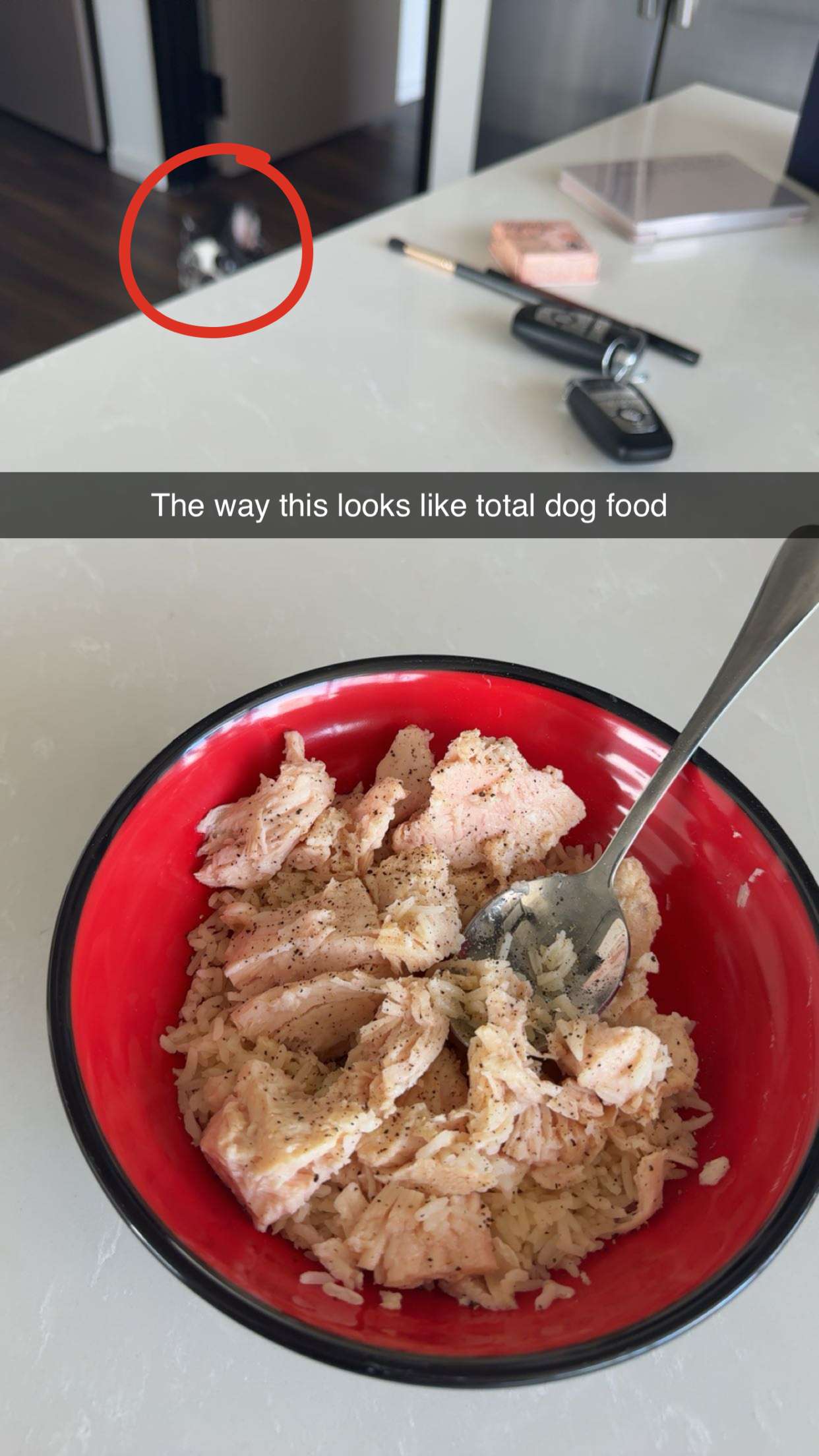 realhaylujan snapchat image archive image