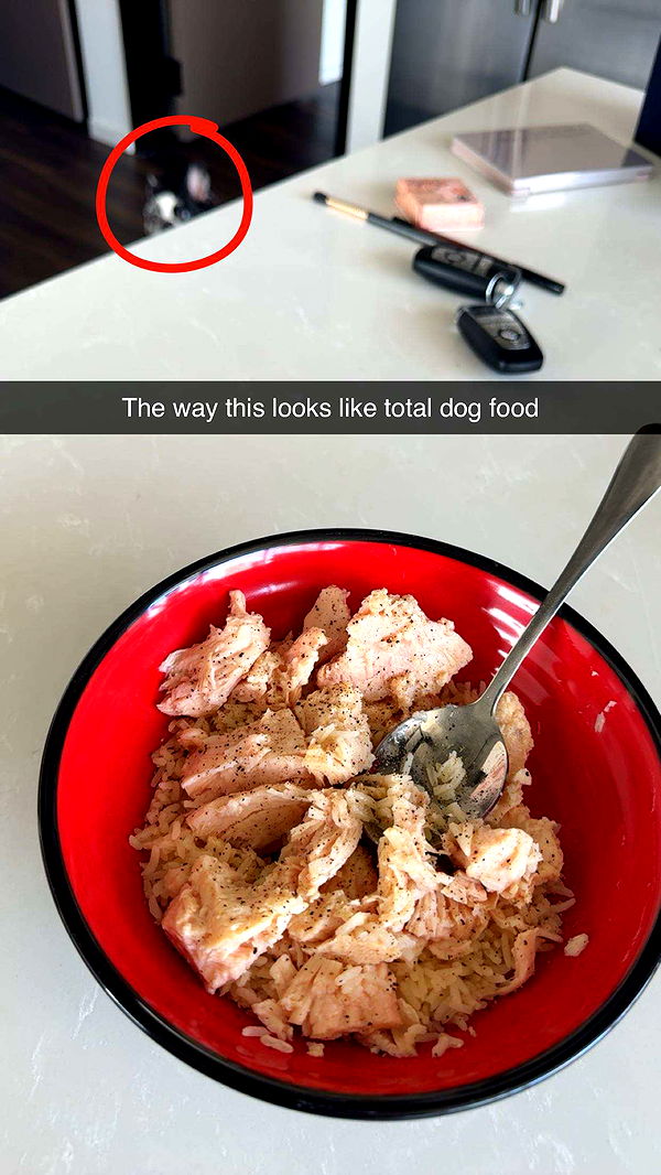 realhaylujan image ~ Altpins