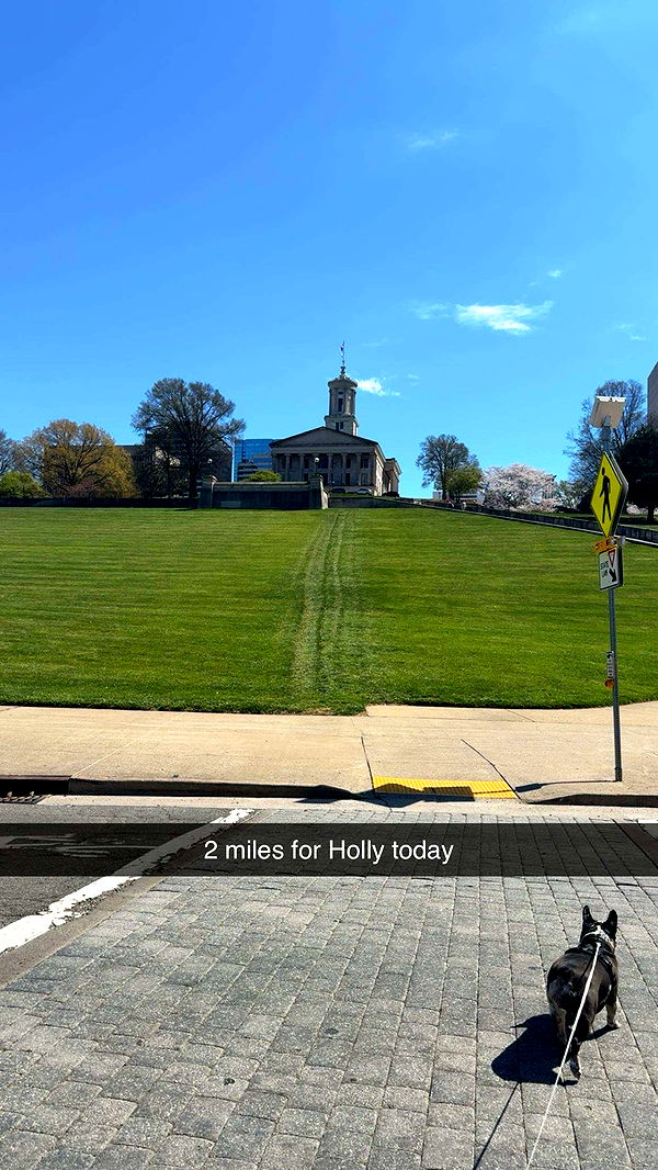 realhaylujan image ~ Altpins