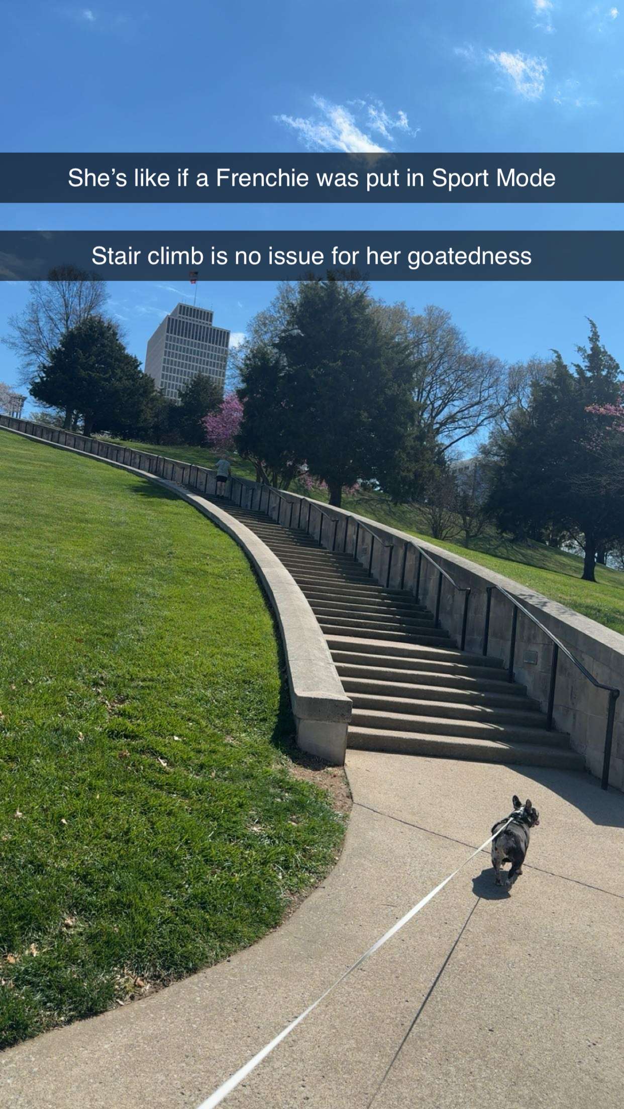 realhaylujan snapchat image archive image