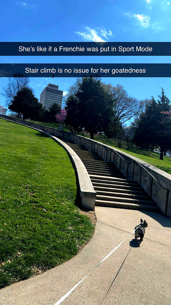 realhaylujan image ~ Altpins