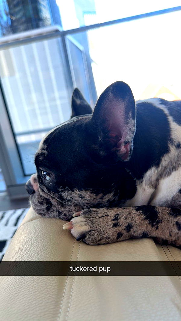 realhaylujan image ~ Altpins